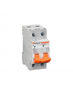 Roker Rxt0250  Termica Din Bip  50a. 2